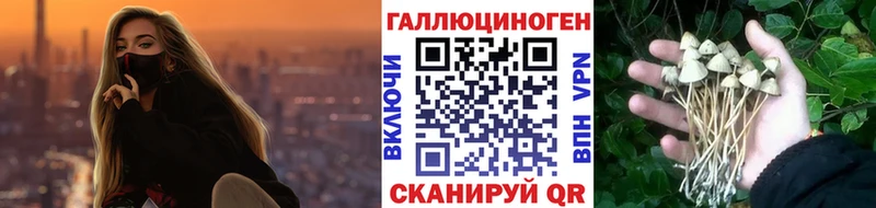 Псилоцибиновые грибы Magic Shrooms  магазин продажи   Эртиль 
